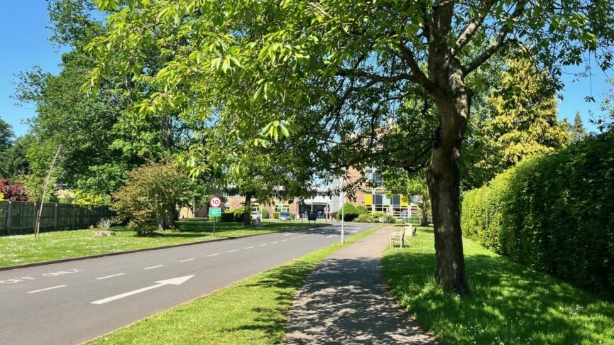 Leafy Approach