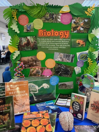 Biology Display