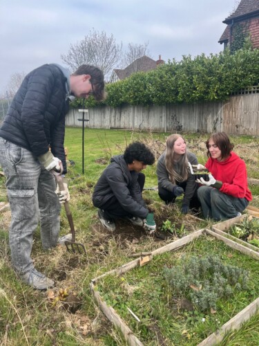 Students planting in college allotments