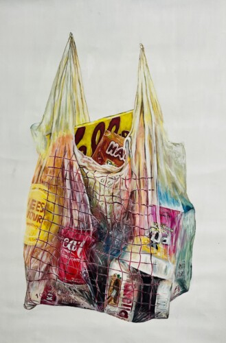 drawing of a bag of groceries